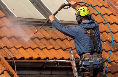 Démoussage et hydrofuge de toiture à Gouillons